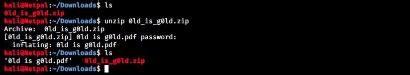 dl and unzip file